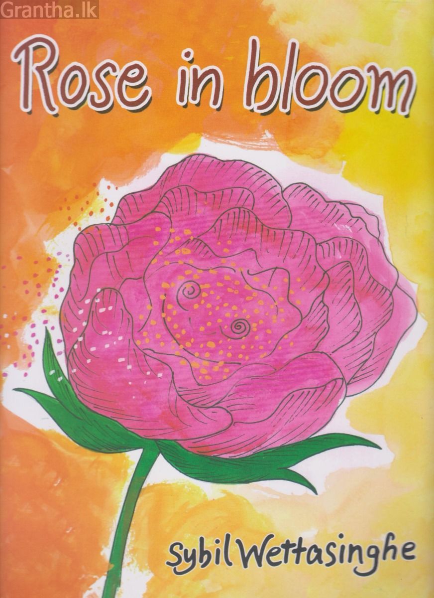 Rose in Bloom