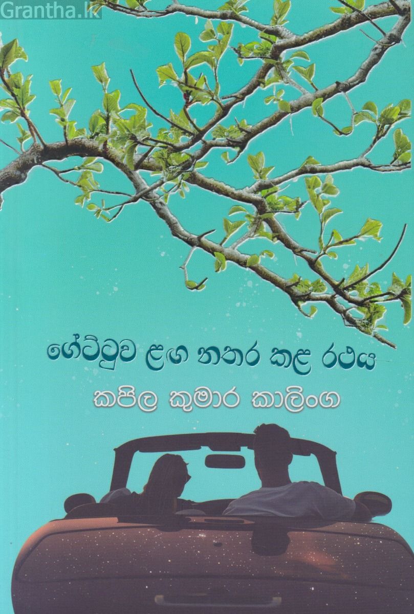 ගේට්ටුව ළඟ නතර කළ රථය