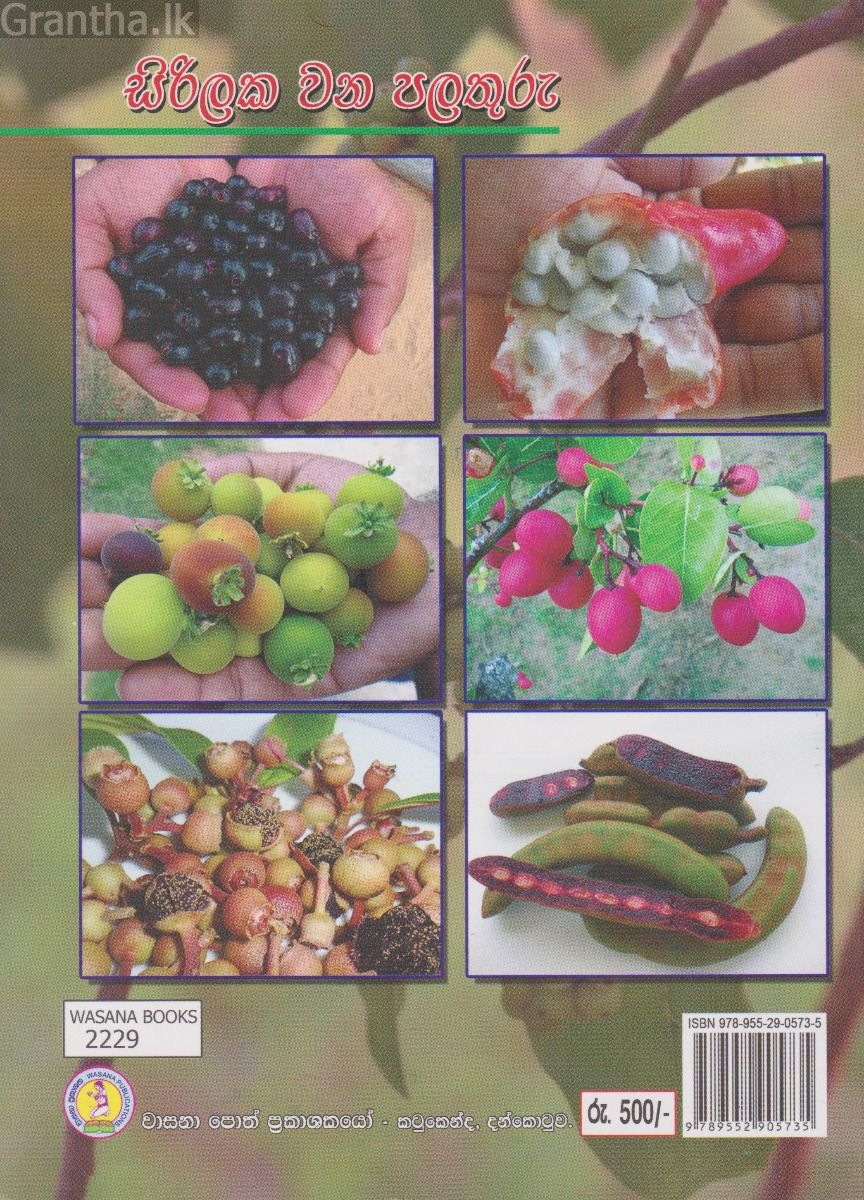 සිරිලක වන පලතුරු 