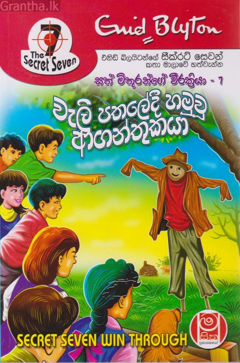 වැලි පතලේදී හමුවූ ආගන්තුකයා - සත් මිතුරන්ගේ වීරක්‍රියා 07