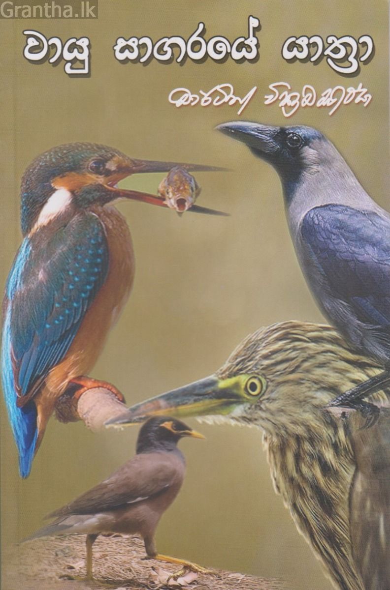 වායු සාගරයේ යාත්‍රා
