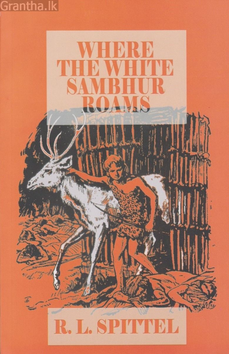 Where the white sambhur roams
