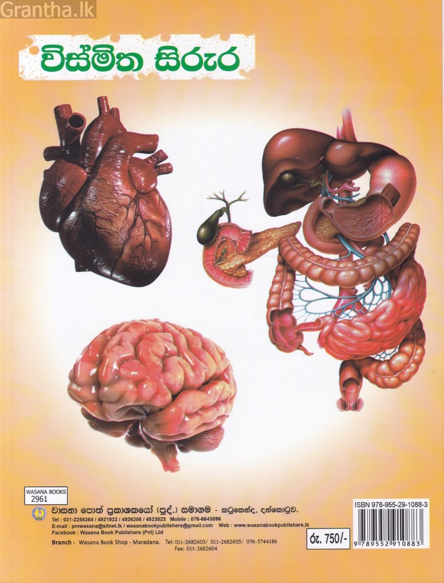 විස්මිත සිරුර