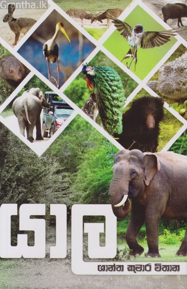 යාල