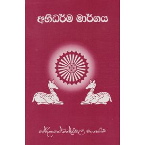 අභිධර්ම මාර්ගය