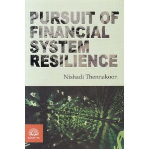 Pursuit of financial system resilience