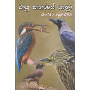 වායු සාගරයේ යාත්‍රා